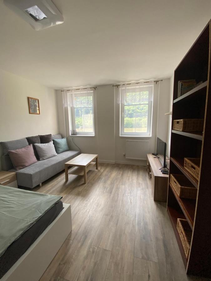 Apartmany U Viaduktu 46 Usti nad Labem Ngoại thất bức ảnh